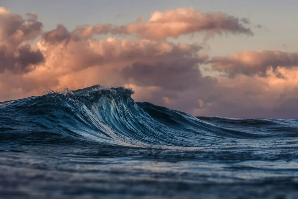 A deep-blue wave curling under a pink evening sky